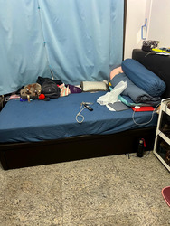 Blk 620 Choa Chu Kang Street 62 (Choa Chu Kang), HDB 4 Rooms #478968401